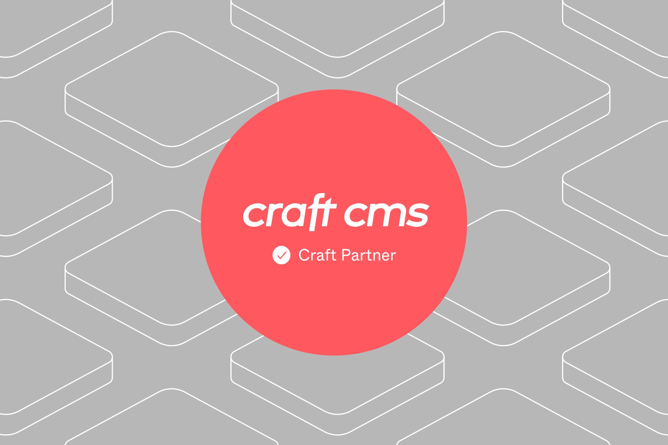 Craft cms partner agency